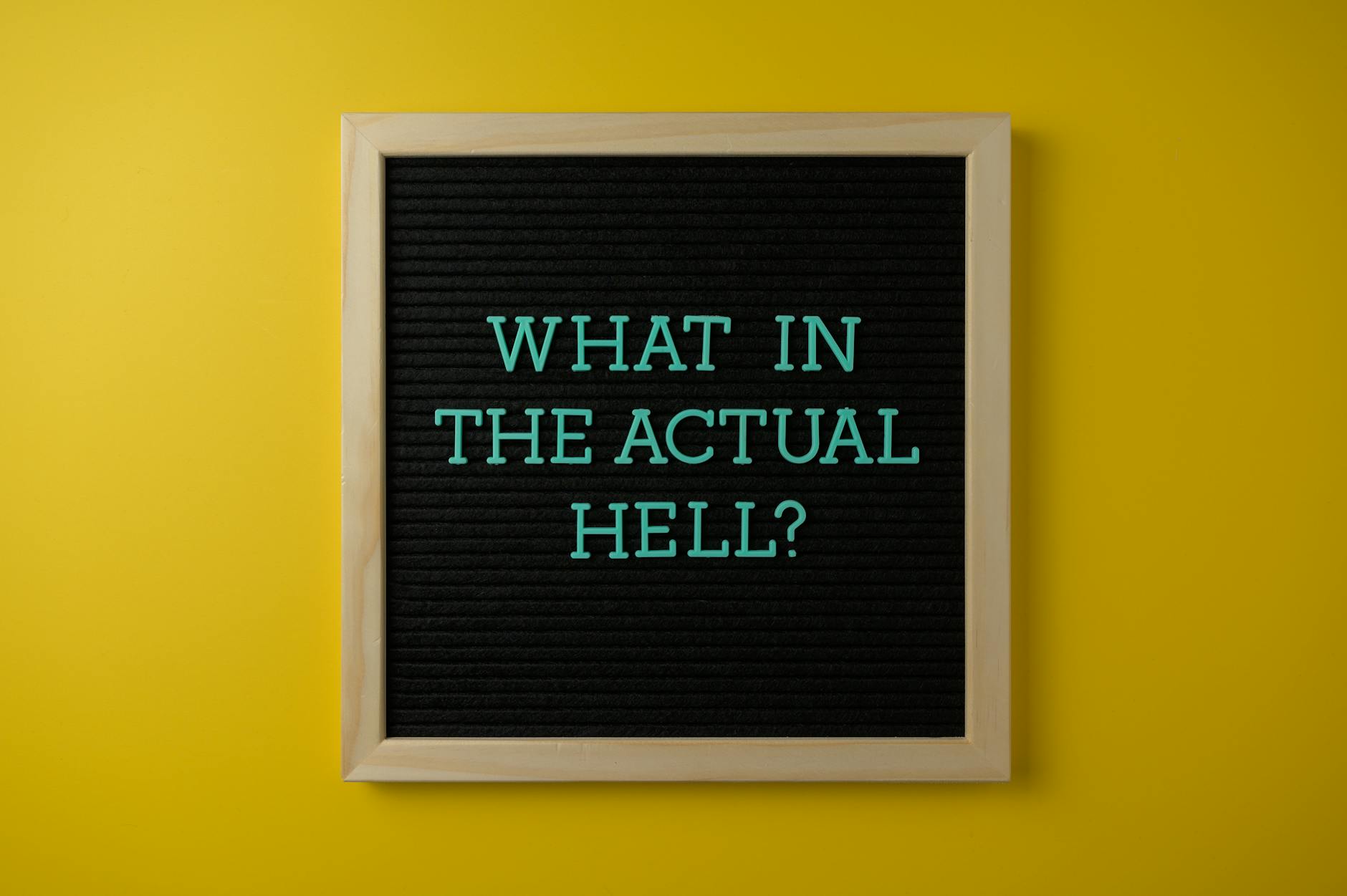 close up of a sentence on a letter board